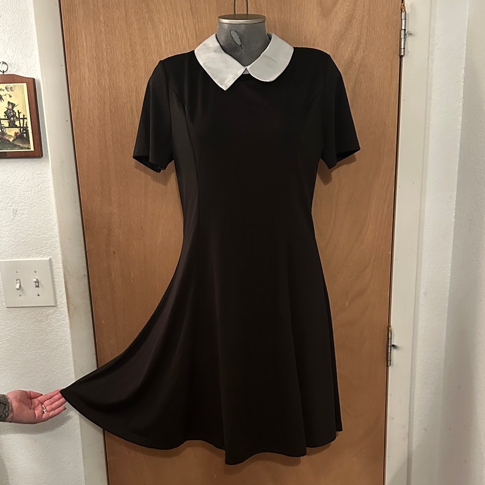 Allegra K Black Mini Dress with White Collar